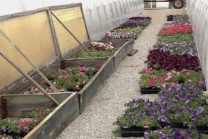 Clearview Acres Greenhouse 4 1200