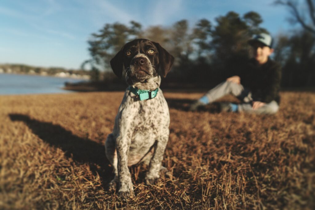 Regular Events 7 clint mckoy Bha9WN7LCdM unsplash