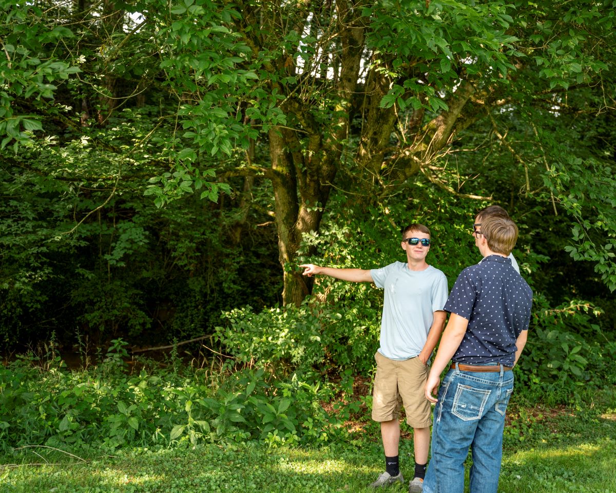 Discover The Rich History Of Logan's Fort In Stanford, Kentucky  Visit 